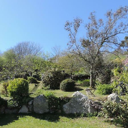 Fern Villa B&B Fishguard Kültér fotó