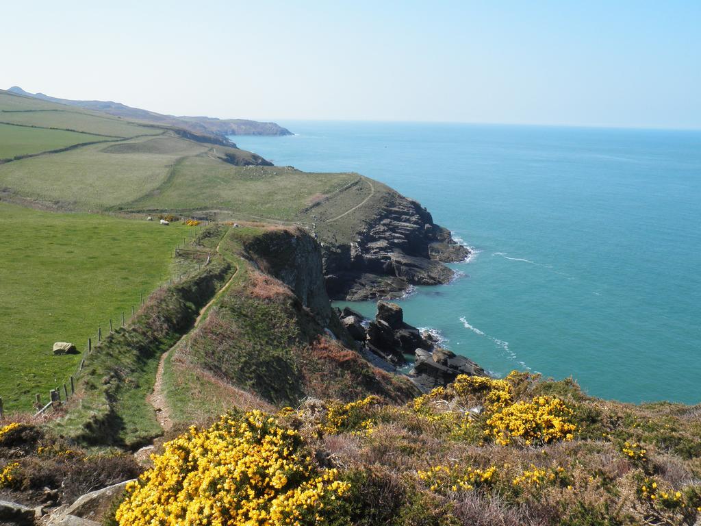 Fern Villa B&B Fishguard Kültér fotó