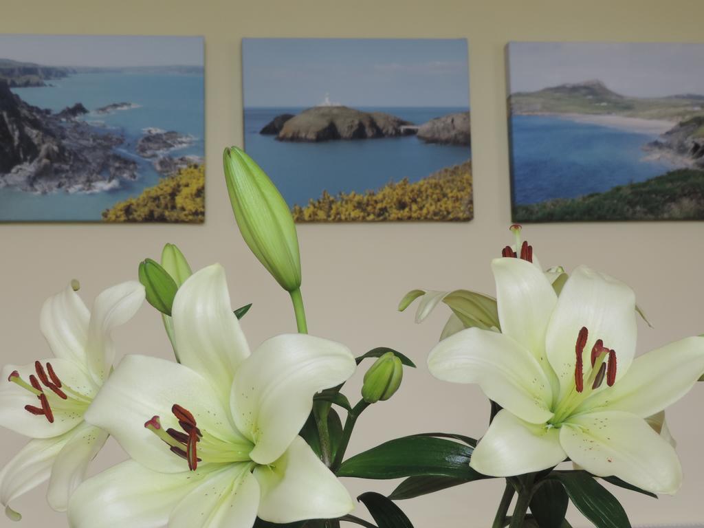 Fern Villa B&B Fishguard Kültér fotó